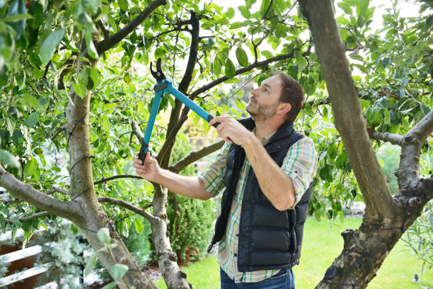 Lawn Pest Prevention in Mechanicstown, NY
